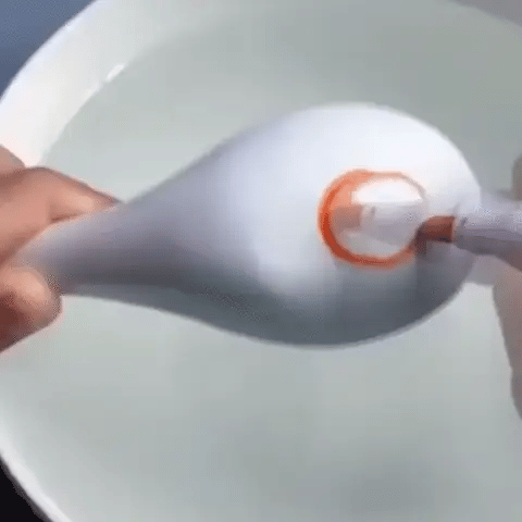 Stylo de peinture à l'eau | magiquepaint™